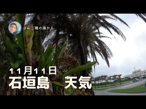 【石垣島天気】11月11日8時ごろ。15秒でわかる今日の石垣島の様子。