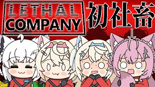 【 Lethal Company 】初出勤！御社のイヌになります！！！・・・待ってこれホラゲーなの・・・？ #ワンダフルカンパニー 【博衣こより視点/ホロライブ】