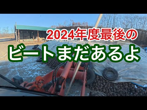 2024年12月19日　ビートまだあるよ