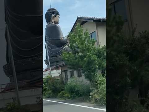 愛子大仏の後ろ姿