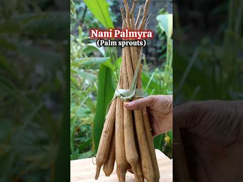 Rare & Nutritious South Indian Food- Nani Palmyra #shorts #weightloss