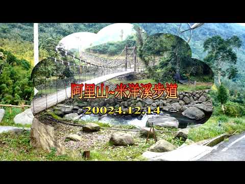 阿里山公路沿線-樂野村 (米洋溪步道)    茗苑民宿~著作