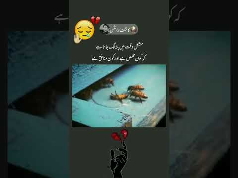 Deep lines🥀what's ap status💔|| Alone status|| Urdu shayari ||kashif_write3||#viral #shorts#subscribe