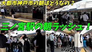 【通勤ラッシュ】三ノ宮駅の朝ラッシュ！兵庫県最大の混雑駅！【兵庫県神戸市】JR神戸線（東海道本線）