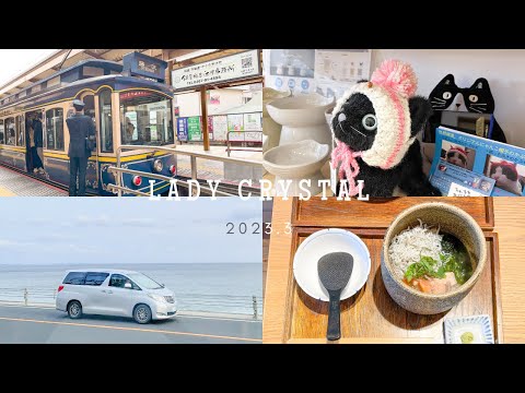 Japan Travel Vlog｜After breakfast under the cherry tree, go to Kamakura for a railway trip!❄️🚅👜