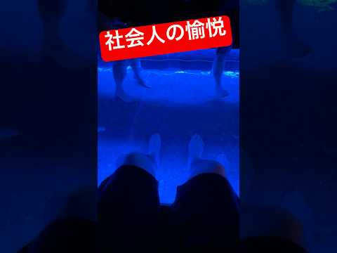 【阿波踊り】湯河原源泉の足湯庭園とタワマン夜景で優勝🏆