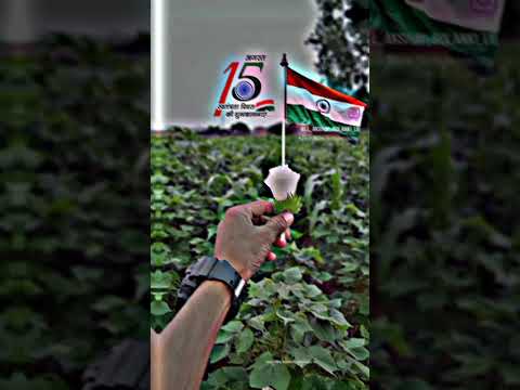 happy independence day 🇮🇳#shortvideo #india #youtubeshorts