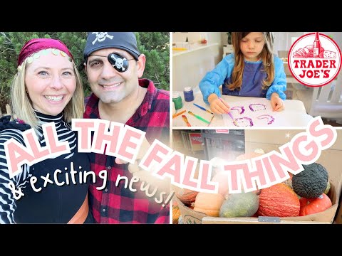 Trader Joe's haul, toddler craft, & Detroit Zoo Boo🎃 Day in the Life SAHM + 3 Year Old