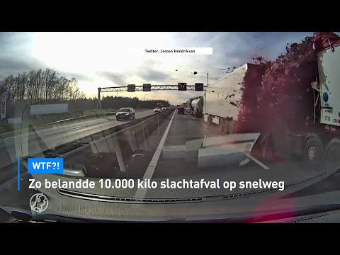 DASHCAM: Zo belandde 10.000 kilo SLACHTAFVAL op de A67 | Hart van Nederland