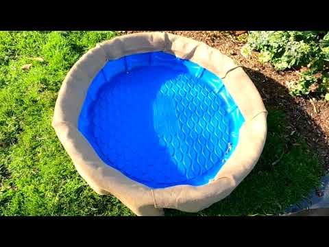 After Seeing This EVERYONE Will Be Buying Blue Plastic Kiddie Pools!