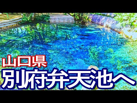 山口ゆる旅【日本の名水百選】別府弁天池へ