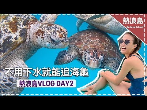 【馬來西亞熱浪島】海龜共遊不是夢! 肉眼就能看到海龜 redang island vlogDay2