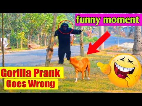 fake gorilla vs dog | fake gorilla prank 😆😆