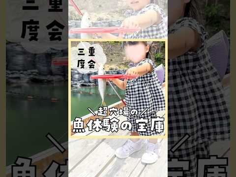 【超穴場】魚体験の宝庫　#shorts #三重県 #子連れ #おでかけ #みなみいせレジャー村