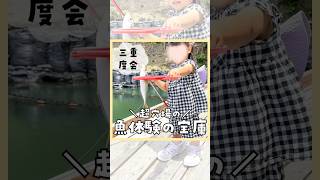 【超穴場】魚体験の宝庫　#shorts #三重県 #子連れ #おでかけ #みなみいせレジャー村