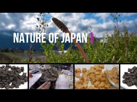 Nature of Japan　山と海　邂逅