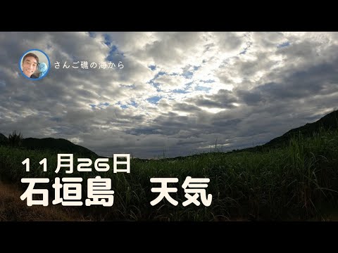 【石垣島天気】11月26日8時ごろ。15秒でわかる今日の石垣島の様子。