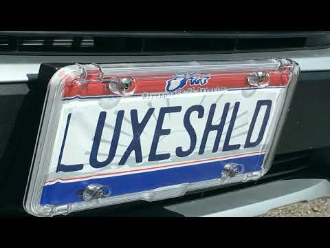 Cruiser Accessories 19130 Daisy License Plate Frame Review in 2023