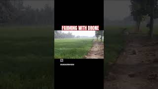 #farming gehu ka khet me drone se khad bota hu #poor #farming