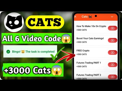 CATS All Video Answer | CATS Boost Your Cats Earnings & CATS Free Crypto Code || CATS All Video Code