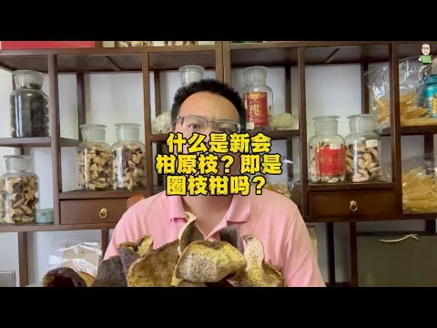 什么是新会柑原枝？即是圈枝柑吗？我个人认为两者一样