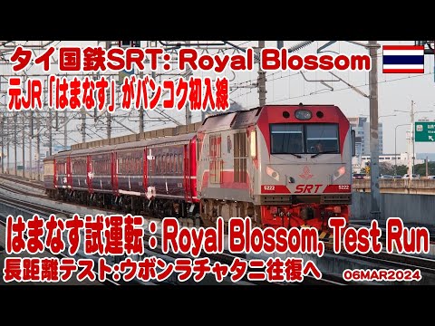 タイ：元JR「はまなす」がロイヤルブロッサム号として復活し試運転でバンコクに初入線。高架線を走る様子 Hamanasu 24-03-06 #はまなす