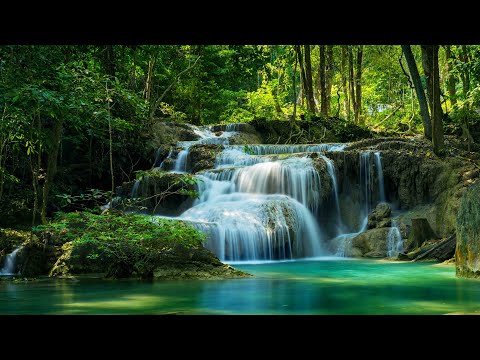 ASMR Waterfall Sounds for Sleep and Relaxation (No Talking) ⭐️ #asmr #asmrsounds #waterfallsounds