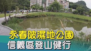 信義區|運動|健行|信義區登山健行 永春陂生態濕地公園踏青