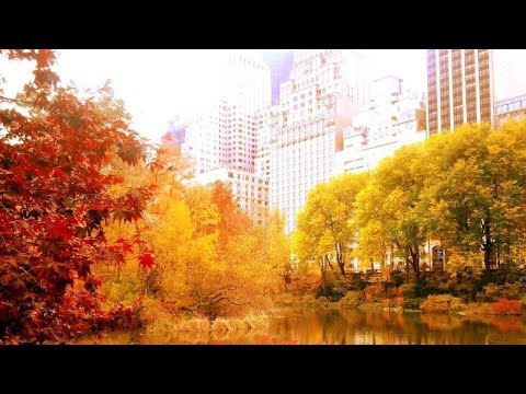 Autumn in New York