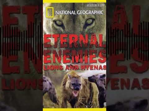 "Eternal Enemies: Lions and Hyenas" VoiceOver Demo @NatGeo