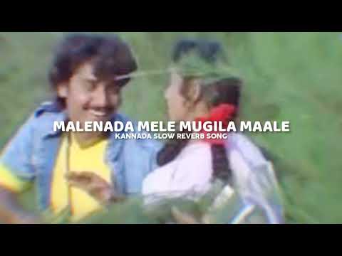 MALENADA MELE MUGILA MAALE [SLOW+REVERB] #kannadasongs #shashikumar #kannadaoldsong #kannadamelody