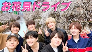 なにわ男子【桜を探して🌸都内を散策】お花見ドライブ🚗