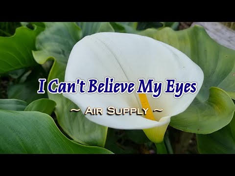 I Can't Believe My Eyes - KARAOKE VERSION - in the style of Air Supply