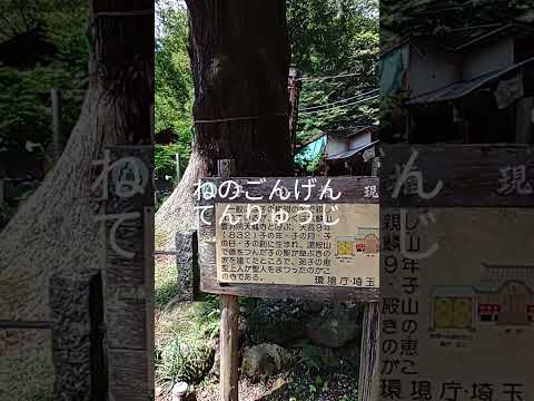 子の権現天龍寺