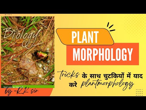 Fabeceae ,solanaceae ,malvaceae,asteraceae ,Gremini families|all plant families with short trick