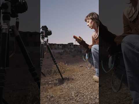 a quick light set-up for a few blue hour portraits ⚡️