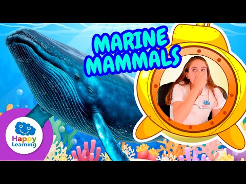 MARINE MAMMALS: LEARN WITH SARAH | Happy Learning 🐬🌊