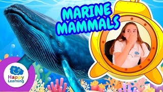 MARINE MAMMALS: LEARN WITH SARAH | Happy Learning 🐬🌊