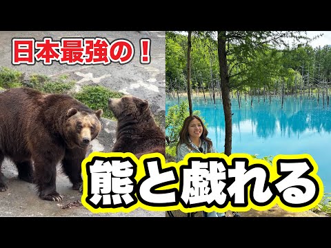 [Hokkaido trip] Go to the brown bear zoo in a wheelchair!