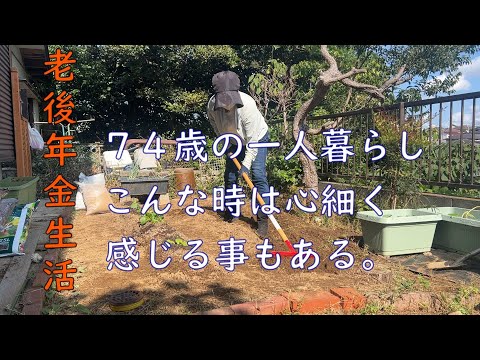 【70代年金生活】一人暮らしの生活、楽でイイワと思っていても時折心細く感じる事。