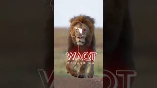 Lion Attitude shayari status Shayari status Attitude shayari #youtubeshorts#viral#shayari#shorts