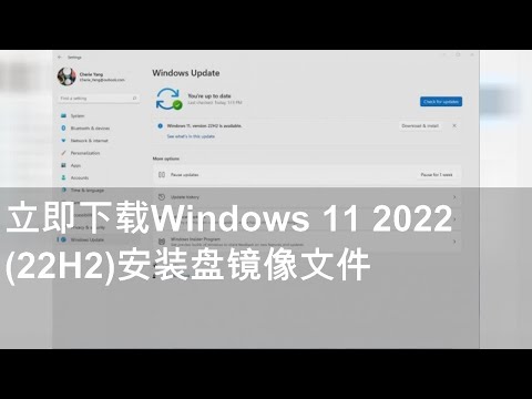 li ji xia zai windows 11 2022 22h2 an zhuang pan jing xiang wen jian final vid