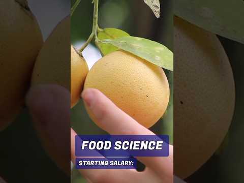 Salary after Bachelor of Food Science (BSc / BS)