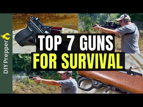 Best Prepper Guns