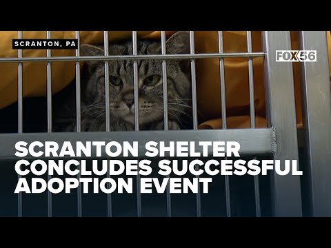 Scranton shelter concludes successful adoption event