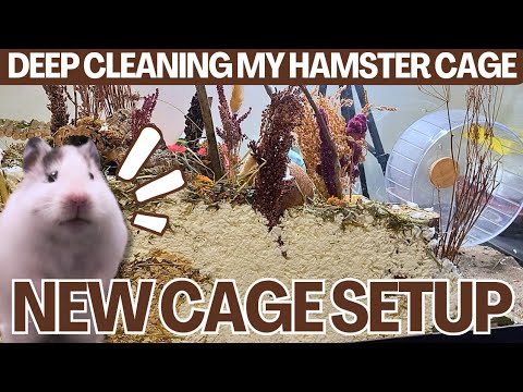 DEEP CLEANING MY HAMSTER CAGE 🧽🐹 // new cage setup