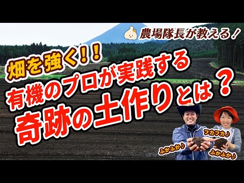 有機栽培のプロが教える！微生物が活性化する良質な畑づくり／根がよく張るフカフカな土