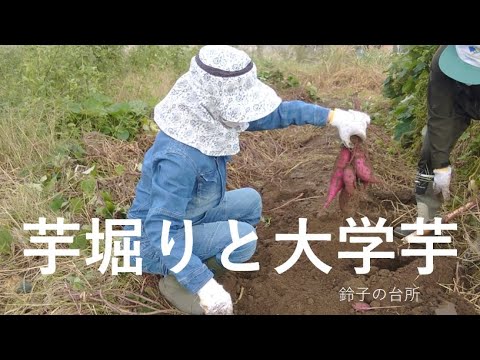 【芋掘り】芋掘り／大学芋