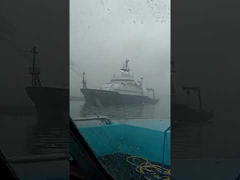 #oregon #saltwater #ship #bay #newport #pacificcoast #oregoncoast #viralvideo