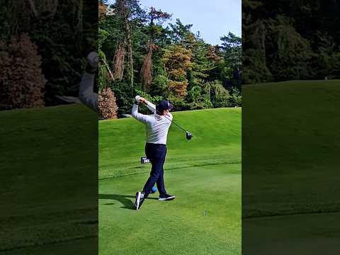 何番目がミスショットだと思いますか#golf #golfshorts #golfswing #ゴルフ練習動画 #ゴルフスイング